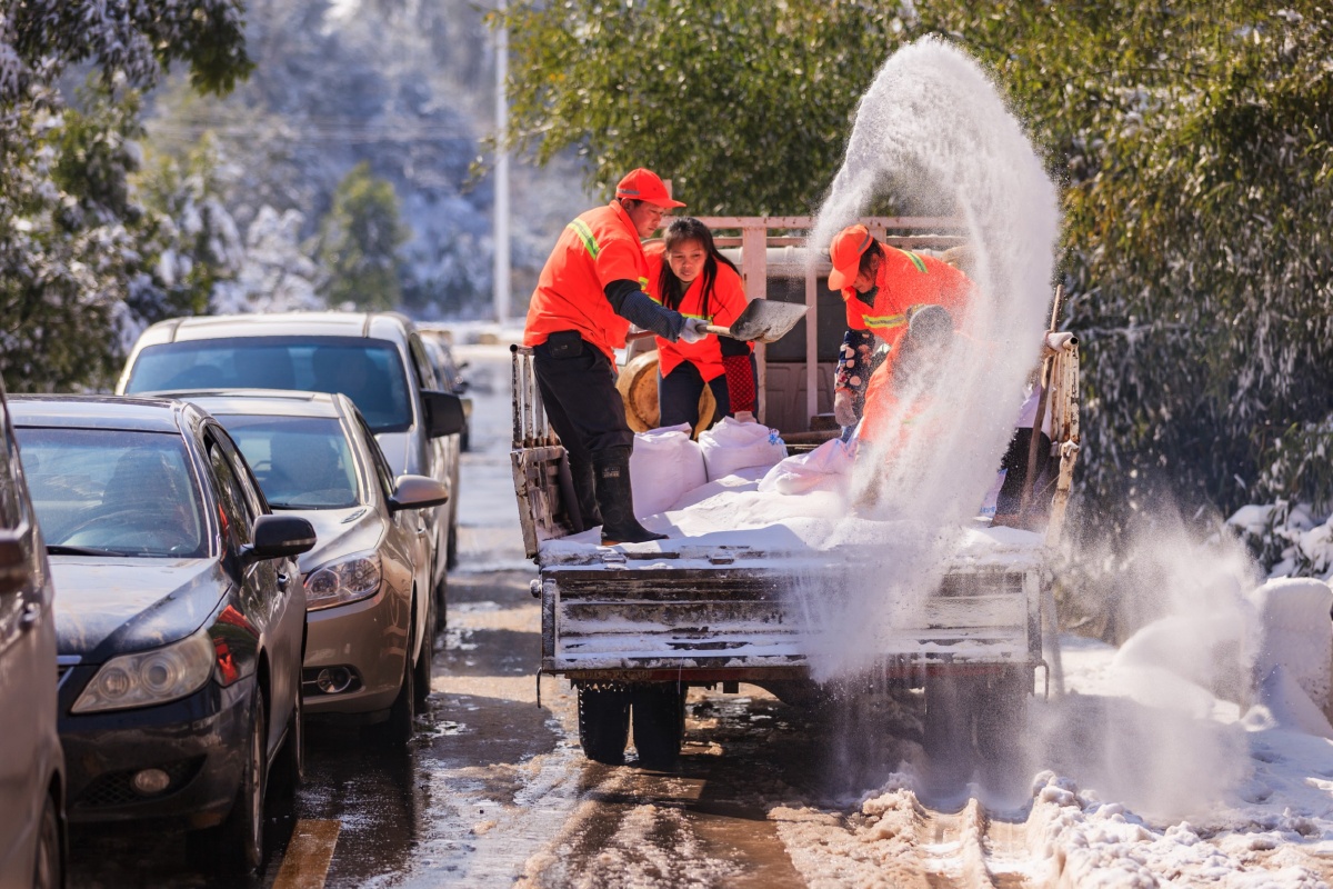 雪上撒盐 - 曾华