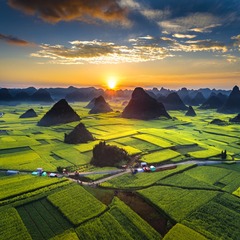 DJI_0212i