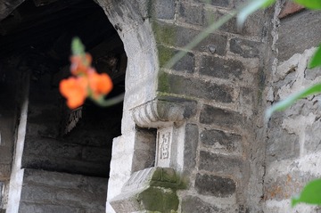 DSC_0222_福