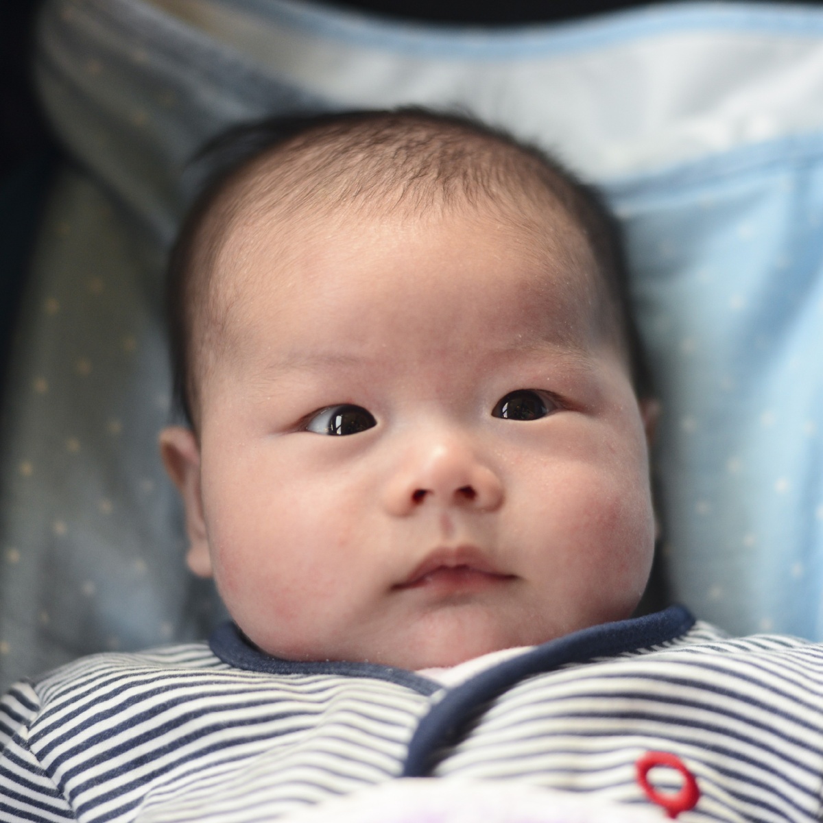 我有儿子了～～ - 聪聪方 - 图虫网 - 优质摄影师交流社区