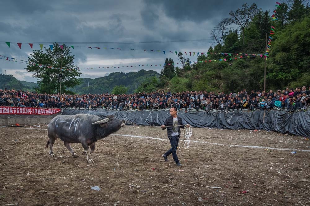 牛王争霸赛 - 人文, 纪实, 阮义忠摄影人文奖 - 翁