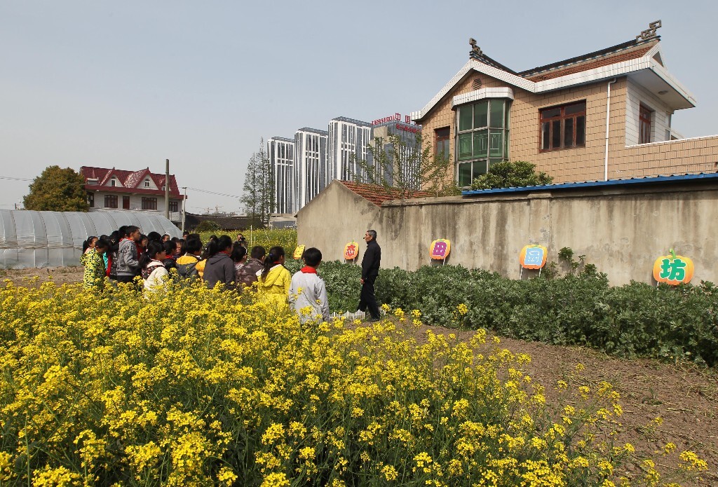 2015年4月17日,在4.22“世界地球日”即将到来之际,江苏省南通市崇川区观音山小学学生在学校“生态田园坊”了解、学习时令蔬菜的种植,附近高楼林立 。<br />