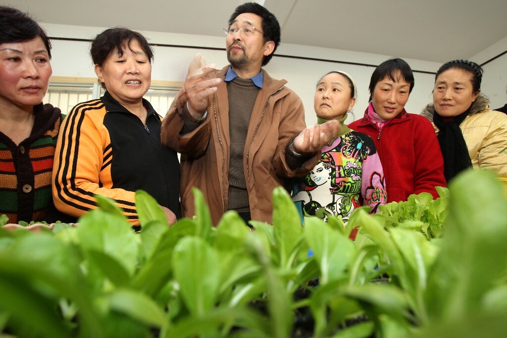 2010年11月29日,一位种植阳台菜的市民向市民推荐阳台菜的种植。