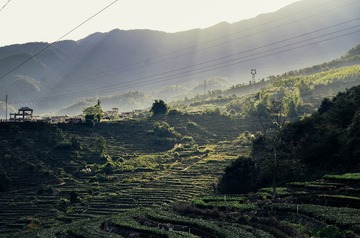 DSC_8721-7