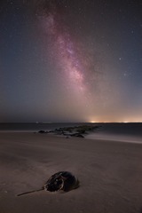 JH_SAM_3644-Edit-Edit 