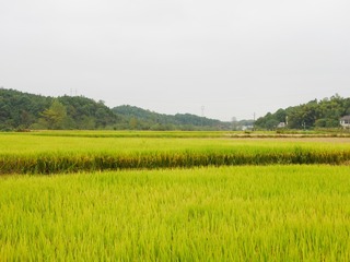 763724