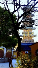 20151208_071705