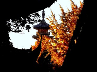 20151208_072814-002