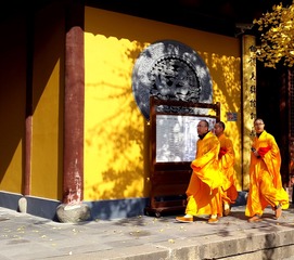20151208_111034