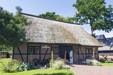 P1050771_