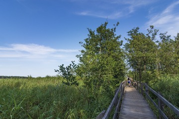 DSCF2700__