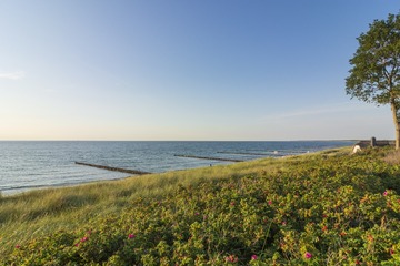 DSCF2931__