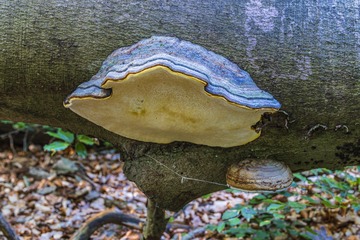 P1010524_