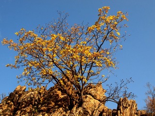 P1010701_