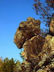 P1010704_