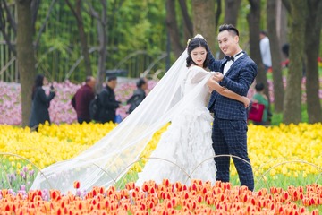 2016-3-19上海：让婚纱飘 (78)