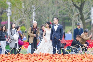 2016-3-19遇见上海：围观 (1)