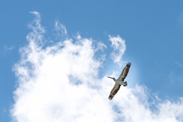DSC_3560-22222-22222