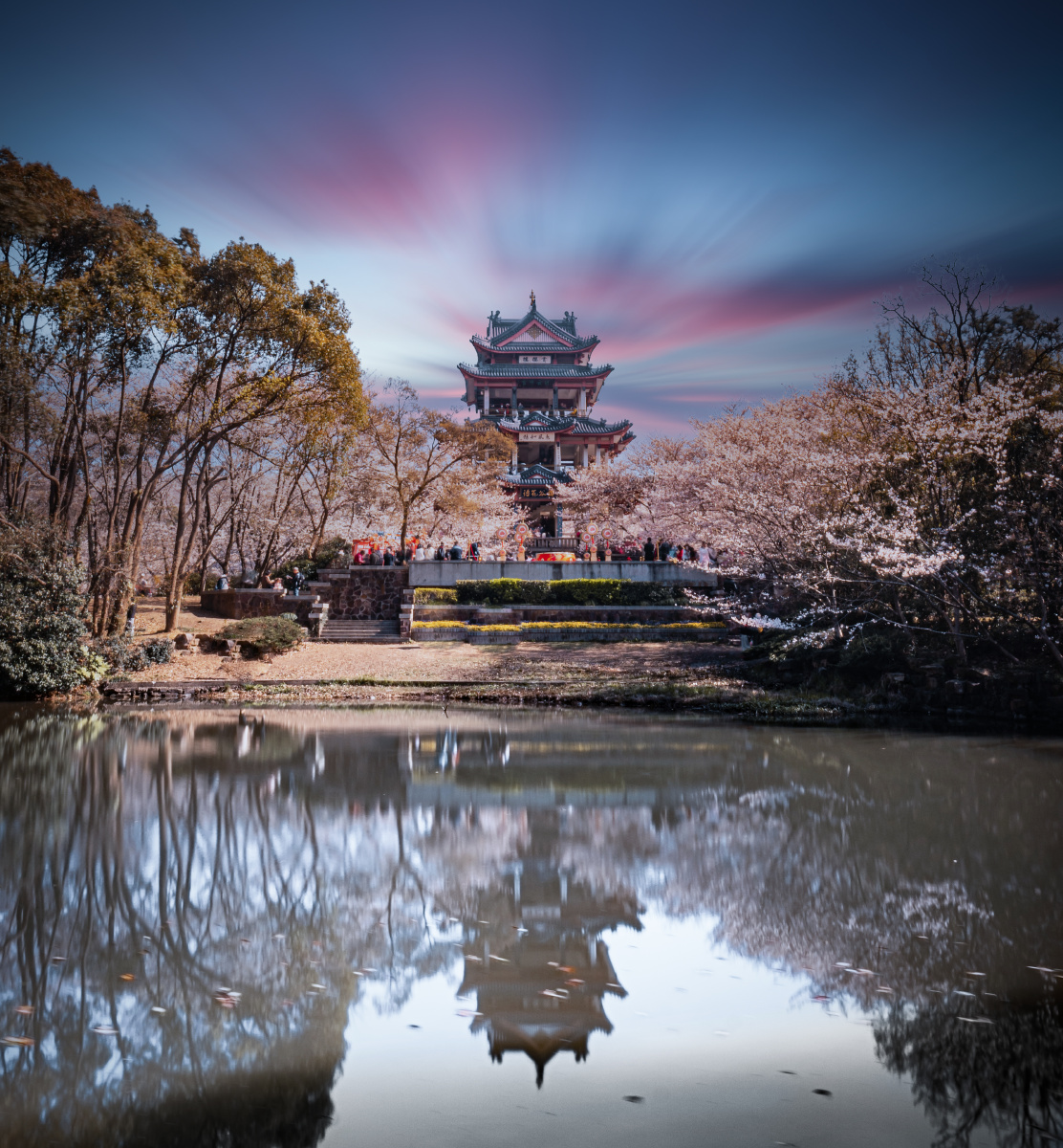 无锡鼋头渚赏樱楼