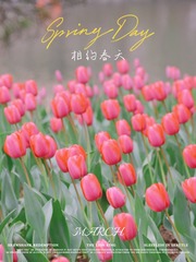 74F1FBA6-E79B-4651-BD9C-9697B6A12633/L0/001
