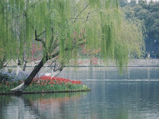 D7E430FC-5F33-4200-9678-67A0A6B1EF26/L0/001