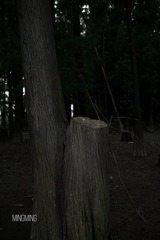 B2D30213-6268-46DA-A987-6D2E2D43C52E/L0/001