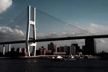 C31F81BA-44A2-4725-9FF1-039396BA8265/L0/001