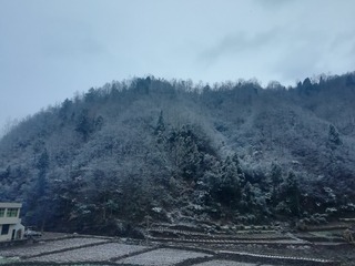 731017