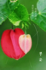201706