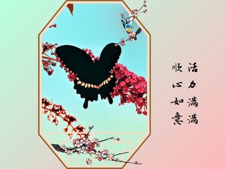 1909482