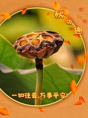 113128