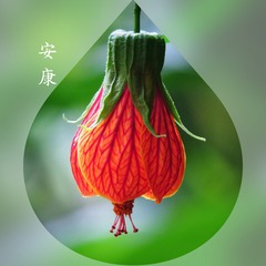 1304916
