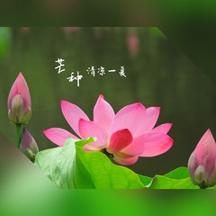1506715