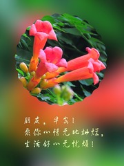 1480568