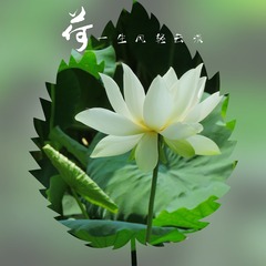 1588633