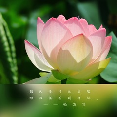 1506718