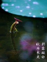 110425