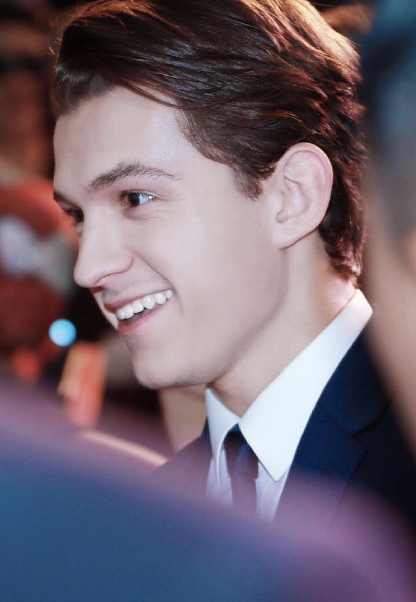 我可爱的荷兰弟