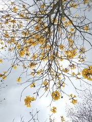 1239801