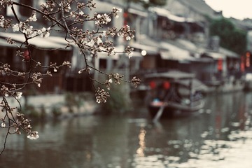 286DBF5A-1C0C-402B-8A6C-61C4004F1B51/L0/001