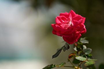 0D991504-95CF-4831-A772-CF7FB24998D8/L0/001