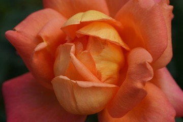 8B7457EC-7554-468E-B925-B7E3805B8BFD/L0/001