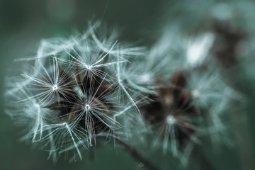355574