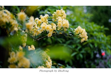 FEDCA33C-7FE5-4762-9D72-A239DEDD42F3/L0/001