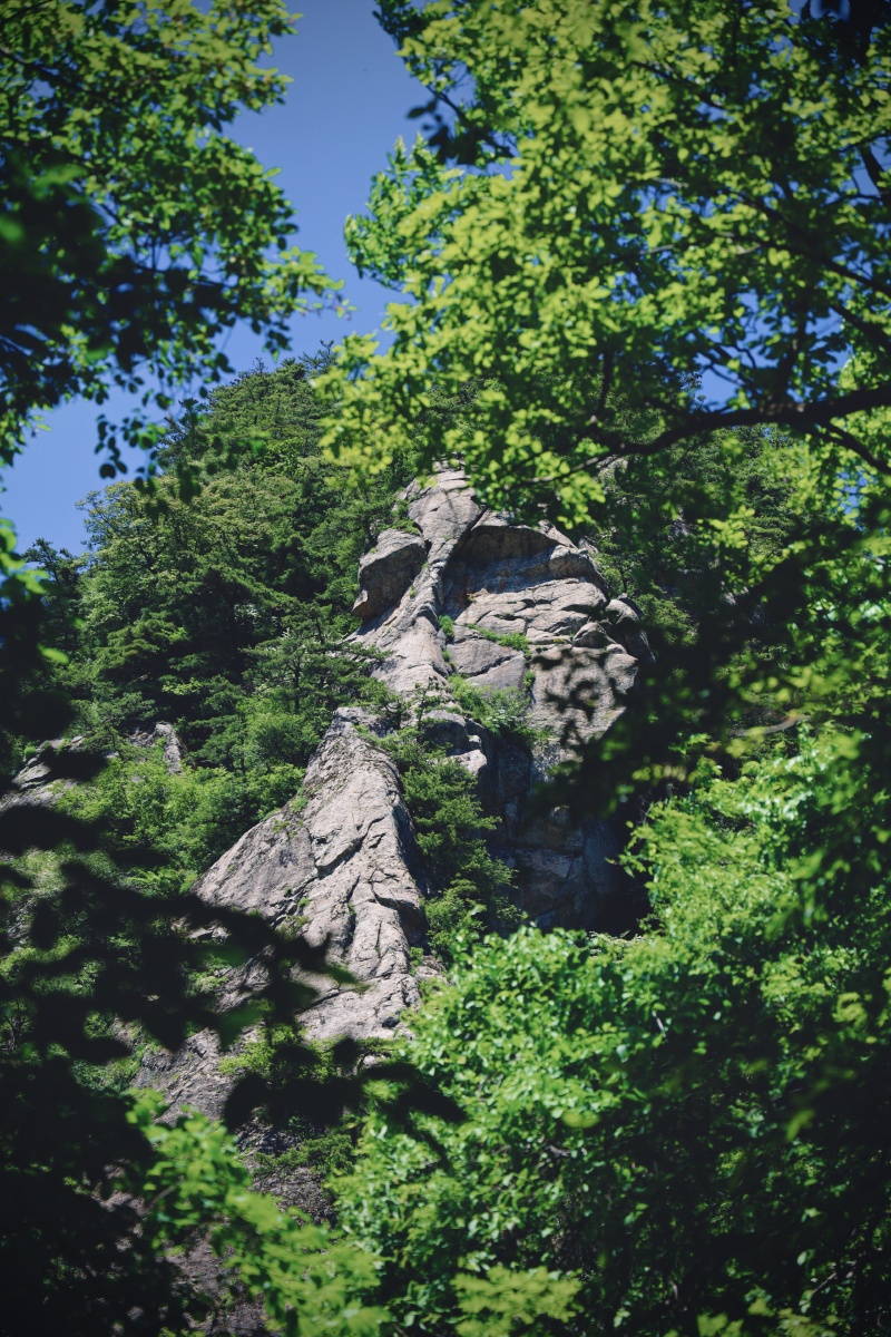 蓝田王顺山别样的秦岭山脉