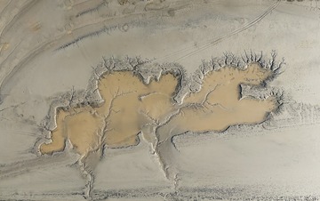 54316