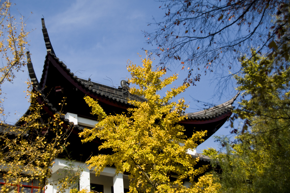 深秋的苏州园林