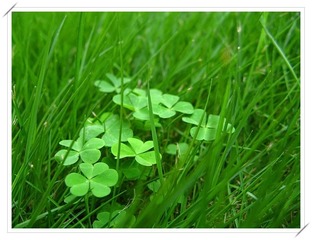 Green2