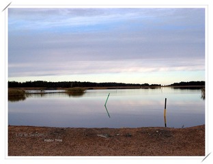 Sweden8