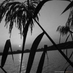 DSCF9637_